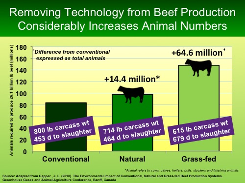 Capper PowerPoint Slide