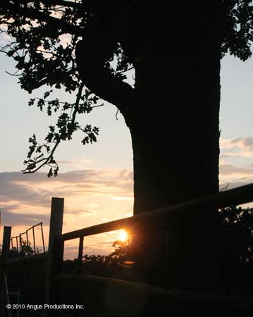 089_Int_HM_landscap#1BE0487