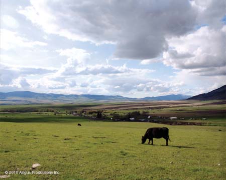 090_Int_HM_landscap#1BE0485