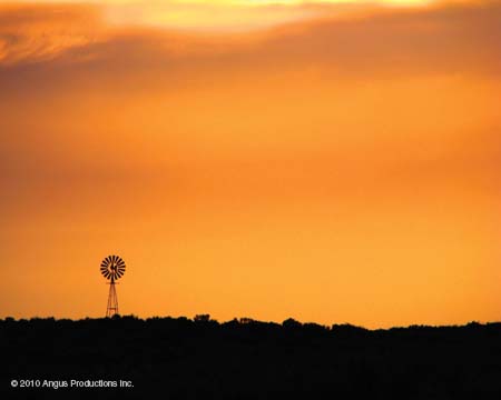 094_Int_EP_landscap#1BE0467