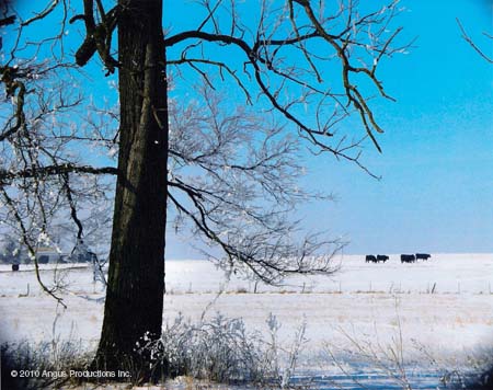 137_Sr_2nd_landscap#1BE0BA0