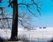 137_Sr_2nd_landscap#1BE0BA0