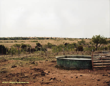 047-Jr_1st_landscape#C1E0DD