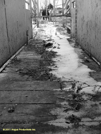 048-Jr_2nd_landscape#C1E0DC