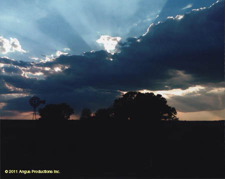 051-Jr_HM_landscape_#C1EC9E