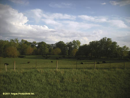 054-Jr_HM_landscape_#C1EC4B