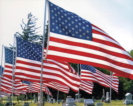 056-Jr_HM_landscape_#C1ECBE