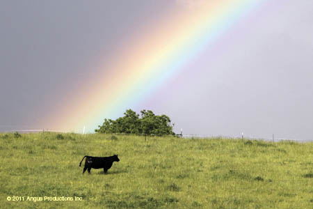 060-Jr_EP_landscape_#C1EBBA