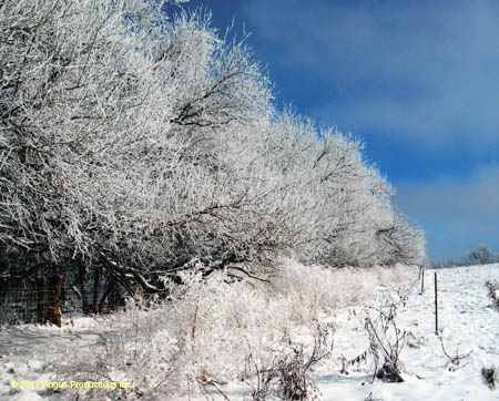 107-Int_3rd_landscap#C2737B