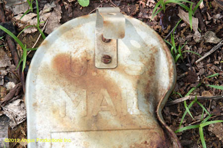 Jr_EP_atf_HaileyRoye
