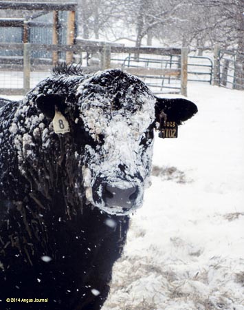 Jr_EP_ac_DanikaGordon